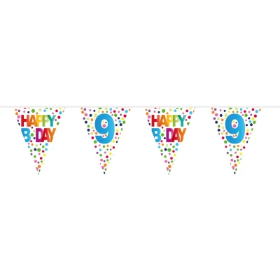 Afbeelding van Vlaggenlijn Confetti 9 jaar, 10mtr.