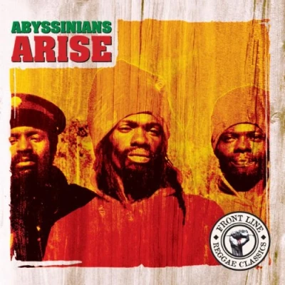 Afbeelding van Arise