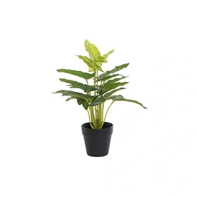 Afbeelding van Decoratieve plant DKD Home Decor PVC Polypropyleen 25 x 30 cm