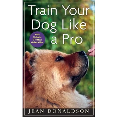 Afbeelding van Train Your Dog Like a Pro