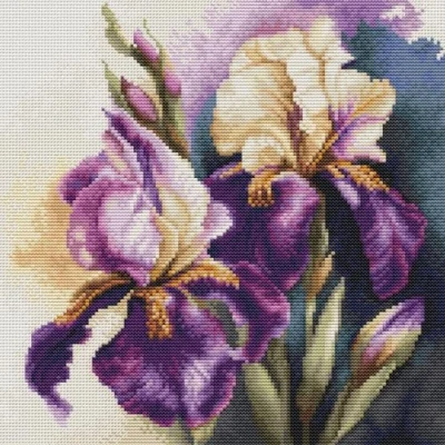 Afbeelding van Luca S Iris Burgermeister borduren (pakket) B7023