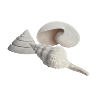 Afbeelding van Biorb schelp set wit