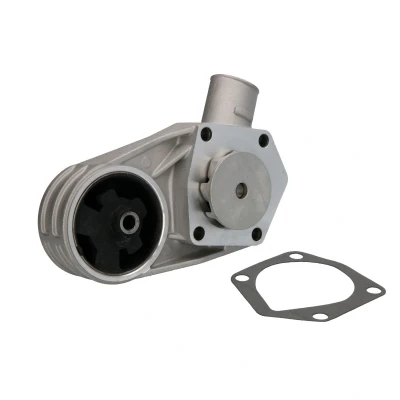 Afbeelding van MAGNETI MARELLI 352316171029 Waterpomp