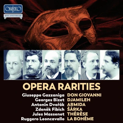 Afbeelding van Various Artists Opera Rarities (10 CD)