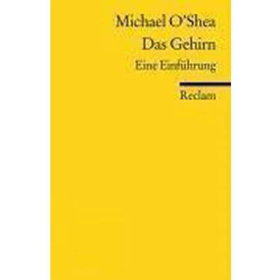 Afbeelding van Das Gehirn