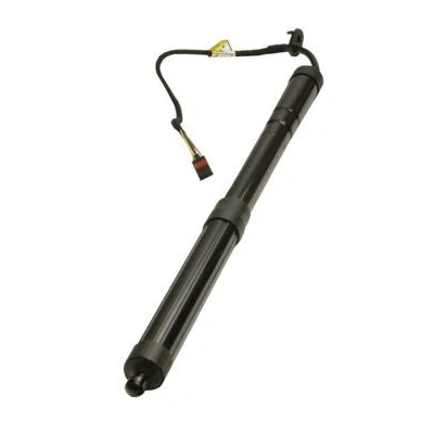 Afbeelding van Gasveer, legbodem (Koffer /Laadruimte) MAXGEAR 12 2554