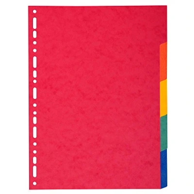 Image de Exacompta Réf 2105E Forever Collection Intercalaires 100% recyclés Convient pour les documents A4+ 220g/m² recyclé 5 positions Multicolore