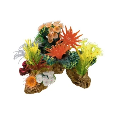 Afbeelding van Nobby aqua deco koraal met planten 19 x 15 cm
