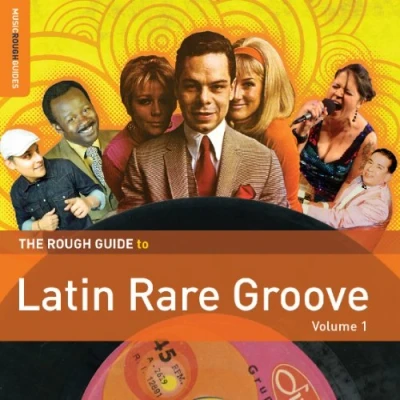 Afbeelding van Various Artists The Rough Guide To Latin Rare Groove, vol.1 (2 CD)