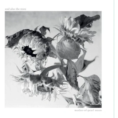 Afbeelding van And Also The Trees Mother Of Pearl Moon (CD)