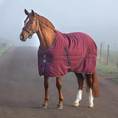 Image de Rambo Stable Lite 100g