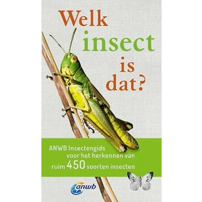 Afbeelding van Welk insect is dat?