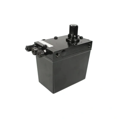 Afbeelding van DT Spare Parts 1.23017 Kantelpomp, cabine