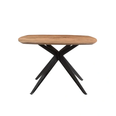 Afbeelding van Bjorn vierkante eettafel 120 cm mangohout
