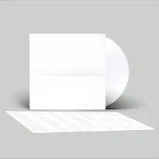 Afbeelding van Foo Fighters But Here We Are (LP)