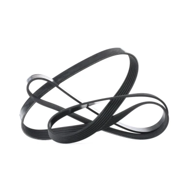 Afbeelding van Poly V riem DAYCO 6PK1805