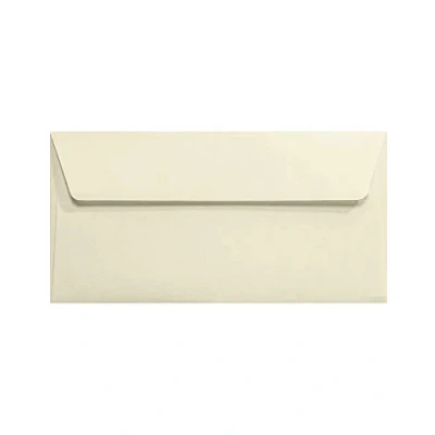 Afbeelding van Netuno 100 lange ecru geribbelde enveloppen DL 110 x 220 mm 120 g Aster Laid Ivory rechte klep elegante crème hoge kwaliteit voor wenskaarten bruiloft uitnodigingen