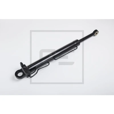 Afbeelding van PETERS ENNEPETAL 123.654 00A Kantelcilinder, cabine