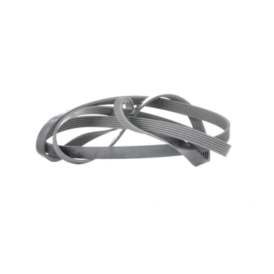 Afbeelding van Bosch Poly V riem 1 987 946 246