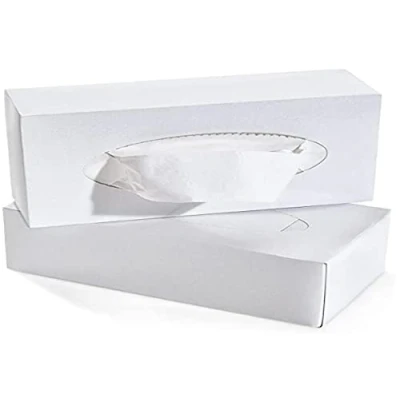Afbeelding van Ecodoo Tissue Box 100 stuks