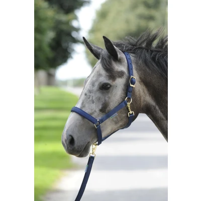 Image de Bucas Licol Dublin Marin Poney