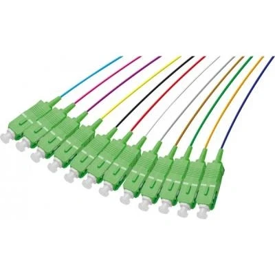 Image de Pigtail os2 sc apc lsoh 12 connecteurs 2m