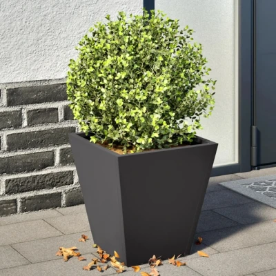 Afbeelding van vidaXL Plantenbakken 2 st 30x30x30 cm staal zwart