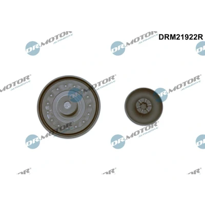 Afbeelding van Membraan, ontluchtingnokkenasbehuizing Dr.Motor Automotive DRM21922R