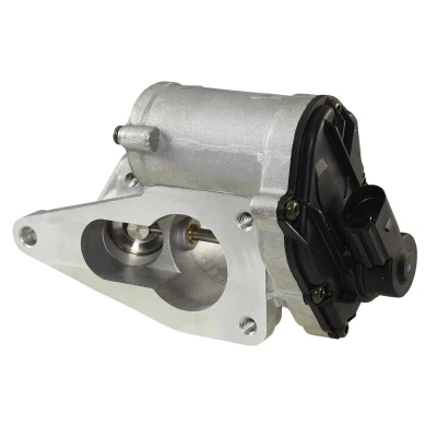 Afbeelding van HELLA 6NU 014 864 121 EGR klep Electrisch Zonder pakking RENAULT: LAGUNA 2 Grandtour, 2, GRAND SCENIC