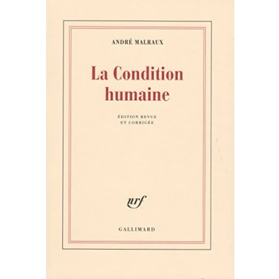 Afbeelding van Condition Humaine