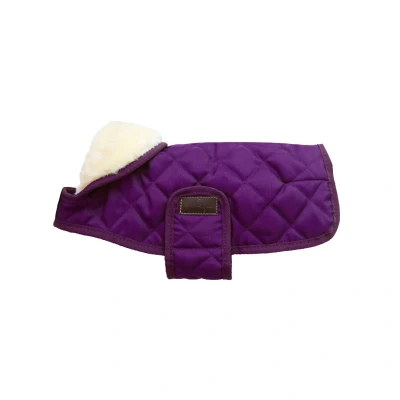 Image de Kentucky Veste pour Chien Original Royal Violet 40cm