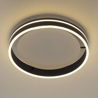 Afbeelding van Paul Neuhaus Q VITO LED plafondlamp 40cm antraciet