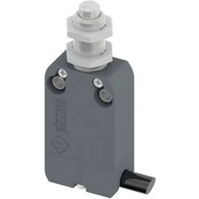 Afbeelding van Pizzato Elettrica NF B110EB DN2 Eindschakelaar 250 V/AC 4 A Plunjer Moment IP67 1 stuk(s)