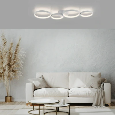 Afbeelding van Paul Neuhaus Kiringe LED plafondlamp, Dime