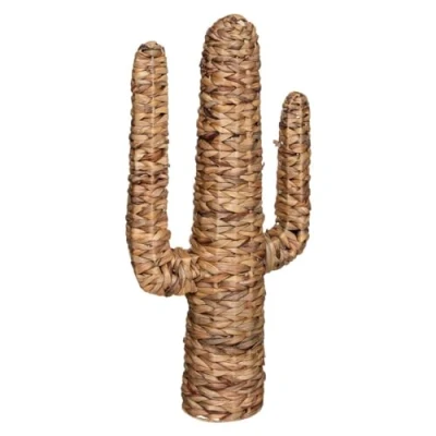 Afbeelding van Atmosphera Hacienda cactus waterhyacint H 75 cm