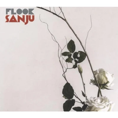 Afbeelding van Flook Sanju (CD)