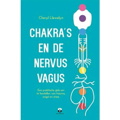 Afbeelding van Chakra&#039;s en de nervus vagus