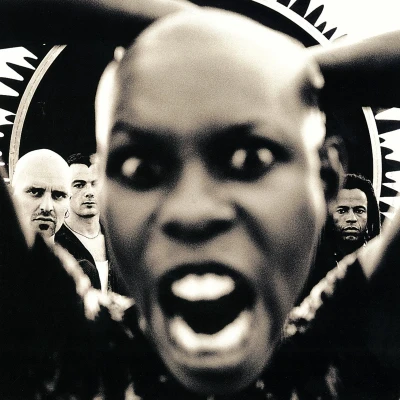 Afbeelding van Skunk Anansie Stoosh (CD)