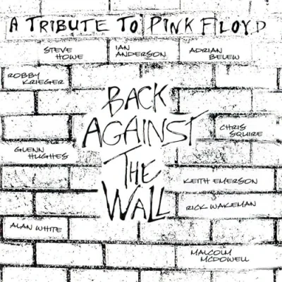 Afbeelding van Pink Floyd A Tribute To Back Floyd.=Trib=