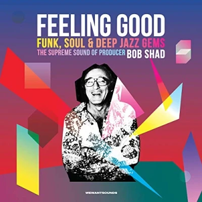 Afbeelding van Various Artists Feeling Good (Supreme Sound Of Bob Shad) (2 LP)