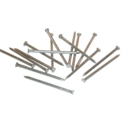 Afbeelding van Spijkers 3.0x65 1kg