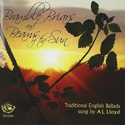 Afbeelding van Bramble Briars &amp; Beams Of The Sun
