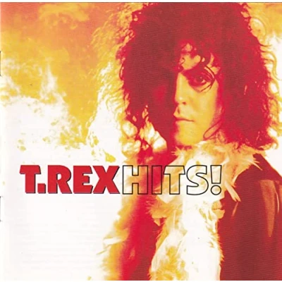 Afbeelding van The Very Best Of T Rex