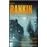Image de Three great novels