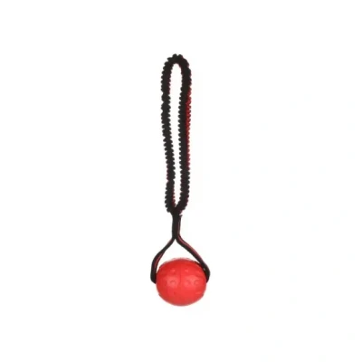 Afbeelding van Flamingo Strekta Speelgoed Honden Hs Tpr Bal + Bungee S 36x8,5x7cm 1st 137669