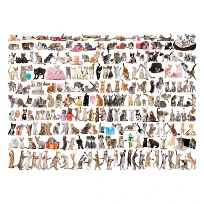 Image de EurographicsPuzzles Chats puzzle 1000 pièces