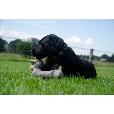 Afbeelding van Country Dog Lucky
