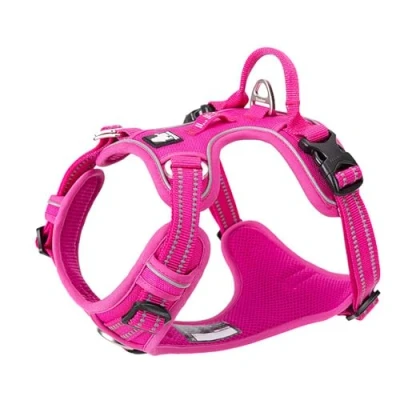 Afbeelding van TRUE LOVE Hondenharnas TLH56512 (S, fuchsia)