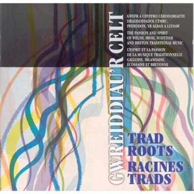 Afbeelding van Various Artists Gwreiddiau&#039;r Celt / Trad Roots (CD)