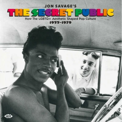 Afbeelding van Jon Savage&#039;s the Secret Public